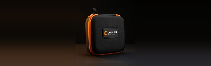PULZE TRAVEL CASE